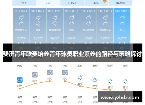 斐济青年联赛培养青年球员职业素养的路径与策略探讨