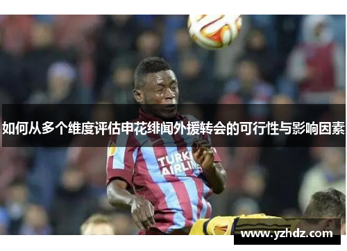 如何从多个维度评估申花绯闻外援转会的可行性与影响因素