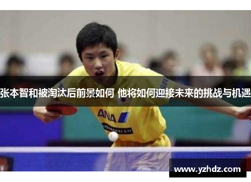 张本智和被淘汰后前景如何 他将如何迎接未来的挑战与机遇