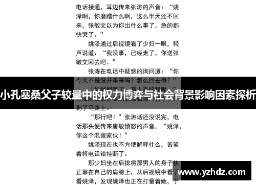小孔塞桑父子较量中的权力博弈与社会背景影响因素探析