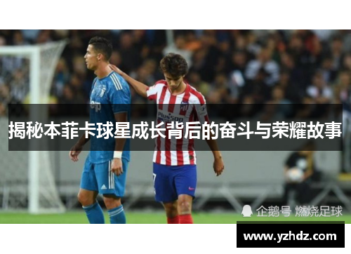 揭秘本菲卡球星成长背后的奋斗与荣耀故事