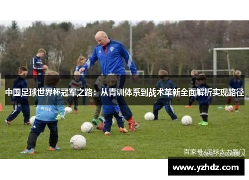 中国足球世界杯冠军之路：从青训体系到战术革新全面解析实现路径