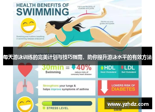 每天游泳训练的完美计划与技巧指南，助你提升游泳水平的有效方法