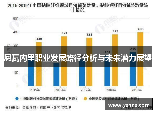 恩瓦内里职业发展路径分析与未来潜力展望