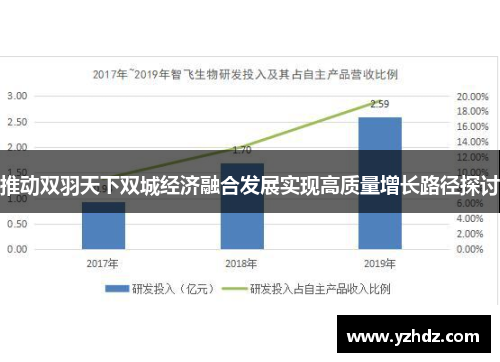 推动双羽天下双城经济融合发展实现高质量增长路径探讨