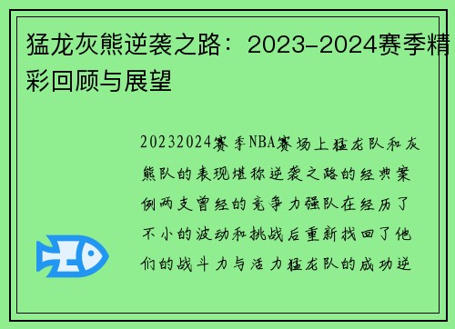 猛龙灰熊逆袭之路：2023-2024赛季精彩回顾与展望